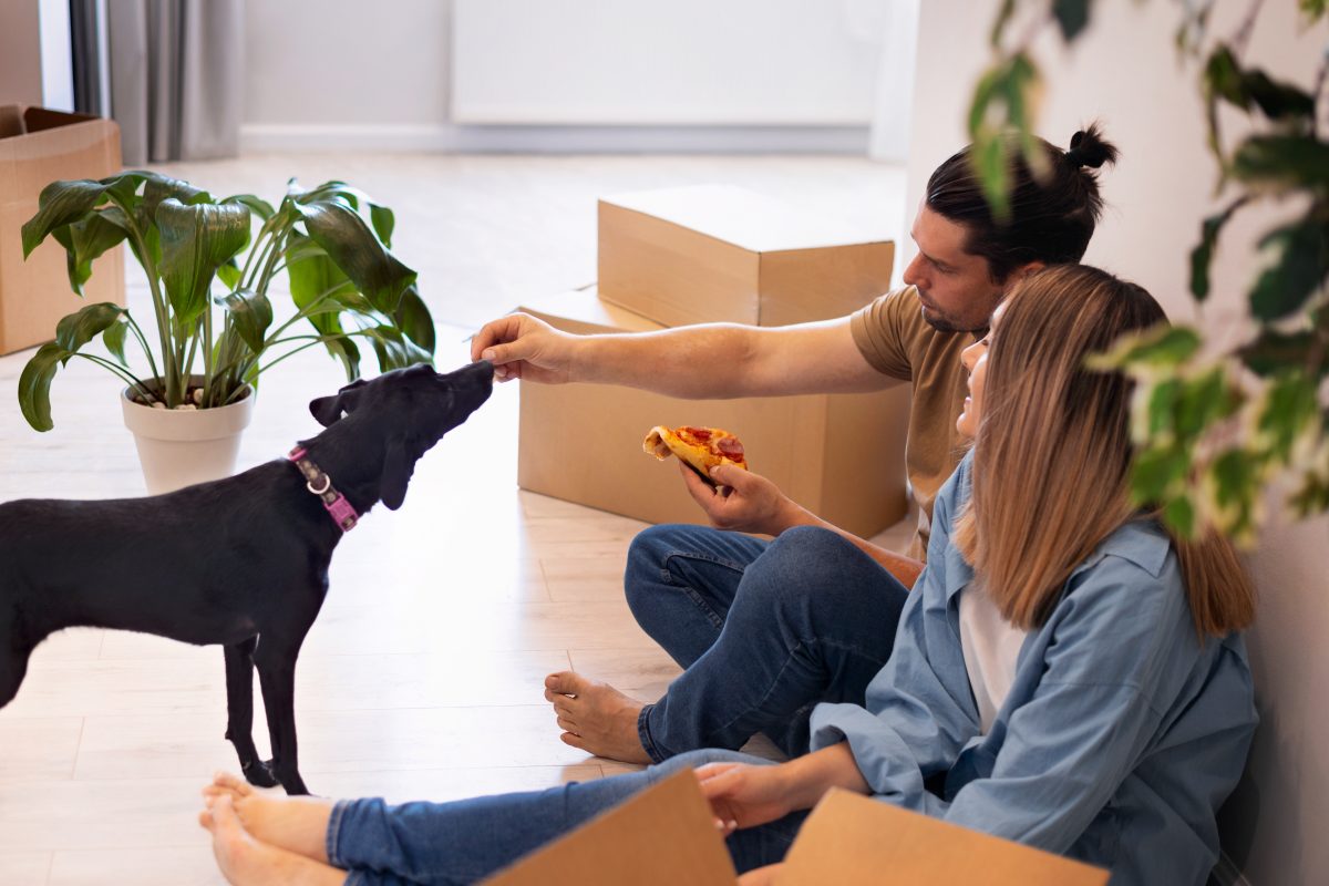 Why Moving with Pets Requires Extra Planning: Your Pet-Friendly Relocation Guide 2 Why Moving with Pets Requires Extra Planning: Your Pet-Friendly Relocation Guide