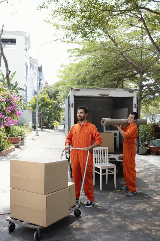 furniture delivery on the Sunshine Coast